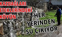 Hayat suların içinde geçiyor! (VİDEO)