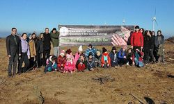 Çanakkale'de 'Toprak Dede' için 100 fidan dikildi