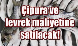 Çipura ve levrek maliyetine satılacak!