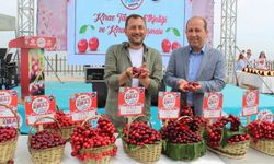 Tekirdağ'da kirazlar yarıştı
