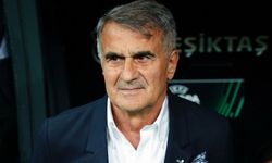 Şenol Güneş istifa etti, Beşiktaş seçime gidiyor