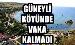 Güneyli köyünde vaka kalmadı!