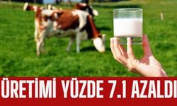 Çiğ süt üretimi 2022 yılında yüzde 7,1 azaldı