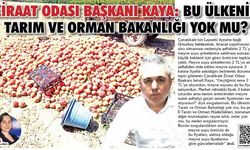 Ziraat Odası Başkanı Kaya: Bu ülkenin Tarım ve Orman Bakanlığı yok mu?