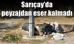 Sarıçay’da peyzajdan eser kalmadı