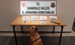 Çanakkale’de uyuşturucu operasyonu: 2 gözaltı