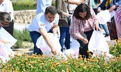 Tarihi Alanda şifa bitkileri ziyaretçilere sunulacak