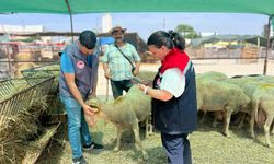 Kurban Bayramı öncesi Çanakkale'de sıkı denetimler