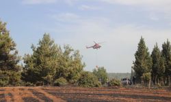 Çanakkale’de yangın çıktı! Havada karadan müdahale başladı