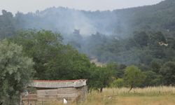 Çanakkale'de yıldırım düştü, yangın çıktı!