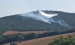 Biga'daki orman yangını kontrol altına alındı