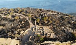 Çanakkale'de 7 bin yıllık Assos Ören Yeri ve Athena Tapınağı alevlerden etkilendi (VİDEO)