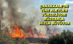 Çanakkale’de yine alevler yükseliyor! Rüzgarla hızla büyüyor