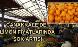 Çanakkale'de limon fiyatlarında şok artış! Dudak uçuklatıyor