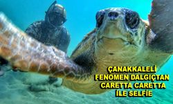 Çanakkaleli fenomen dalgıçtan caretta caretta ile selfie