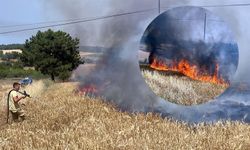 Çanakkale’de yangın başladı! Rüzgarın etkisiyle hızla yayılıyor (TIKLA İZLE)