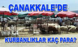 Çanakkale’de kurbanlıklar kaç para? (TIKLA İZLE)