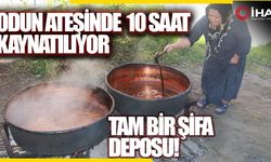 Dut Pekmezi Nasıl Yapılır? Dur Pekmezinin Faydaları Nelerdir? (TIKLA İZLE)