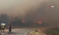 Orman Yangını: Yangın rüzgarın etkisiyle büyüyor!