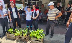 Çanakkale'de yerli ve milli üzüm çeşitleri üreticilerle buluştu