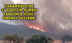 Çanakkale’deki yangınla ilgili önemli gelişme