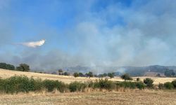 Çanakkale’de orman yangını: Havadan ve karadan müdahale ediliyor…