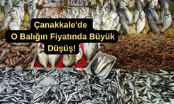 Çanakkale'de o balığın fiyatında  büyük düşüş!