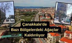 Çanakkale'de bazı bölgelerdeki ağaçlar kaldırılıyor