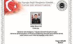 Bir astsubayımız şehit oldu