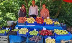 Çanakkale Bayramiç'te yetişen ürünler organik pazarda