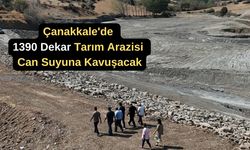 Çanakkale'de 1390 dekar tarım arazisi can suyuna kavuşacak