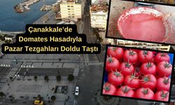 Çanakkale’de kışlık telaş başladı