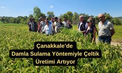 Çanakkale’de damla sulama yöntemiyle çeltik üretimi artıyor