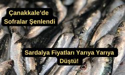 Çanakkale'de sardalya fiyatları yarıya yarıya  düştü!