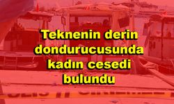 Teknenin derin dondurucusunda kadın cesedi bulundu