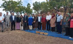 Çanakkale'de üretimi 40 tonu buldu, şenlik düzenlendi