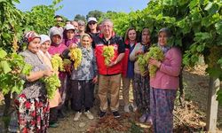 Kalkınma ve İskan Projesi ile adalar tarımda da gelişiyor