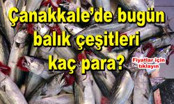 Çanakkale’de bugün balık çeşitleri kaç para?