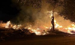 Çanakkale'nin sınır komşusu ilçede yangın