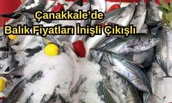 Çanakkale’de balık fiyatları inişli çıkışlı