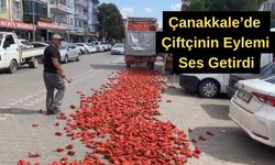 Çanakkale’de çiftçinin eylemi ses getirdi