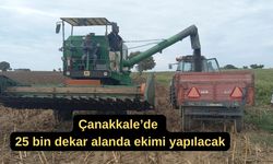 Çanakkale’de 25 bin dekar alanda ekimi yapılacak