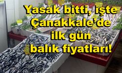 Yasak bitti, işte Çanakkale’de ilk gün balık fiyatları!