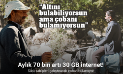 Sürü sahipleri aylık 70 bine çalıştıracak çoban bulamıyor