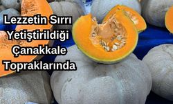 Lezzetin sırrı yetiştirildiği Çanakkale topraklarında