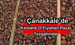 Çanakkale’de kestane, o fiyattan pazar tezgahında