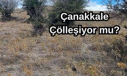 Çanakkale çölleşiyor mu?