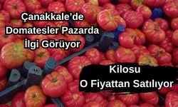 Çanakkale'de domatesler pazarda ilgi görüyor