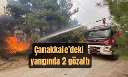 Çanakkale'deki orman yangınında 2 kişi gözaltına alındı (VİDEO)