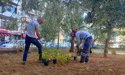 Necip Paşa Camii'nde çevre düzenlemesi tamamlandı